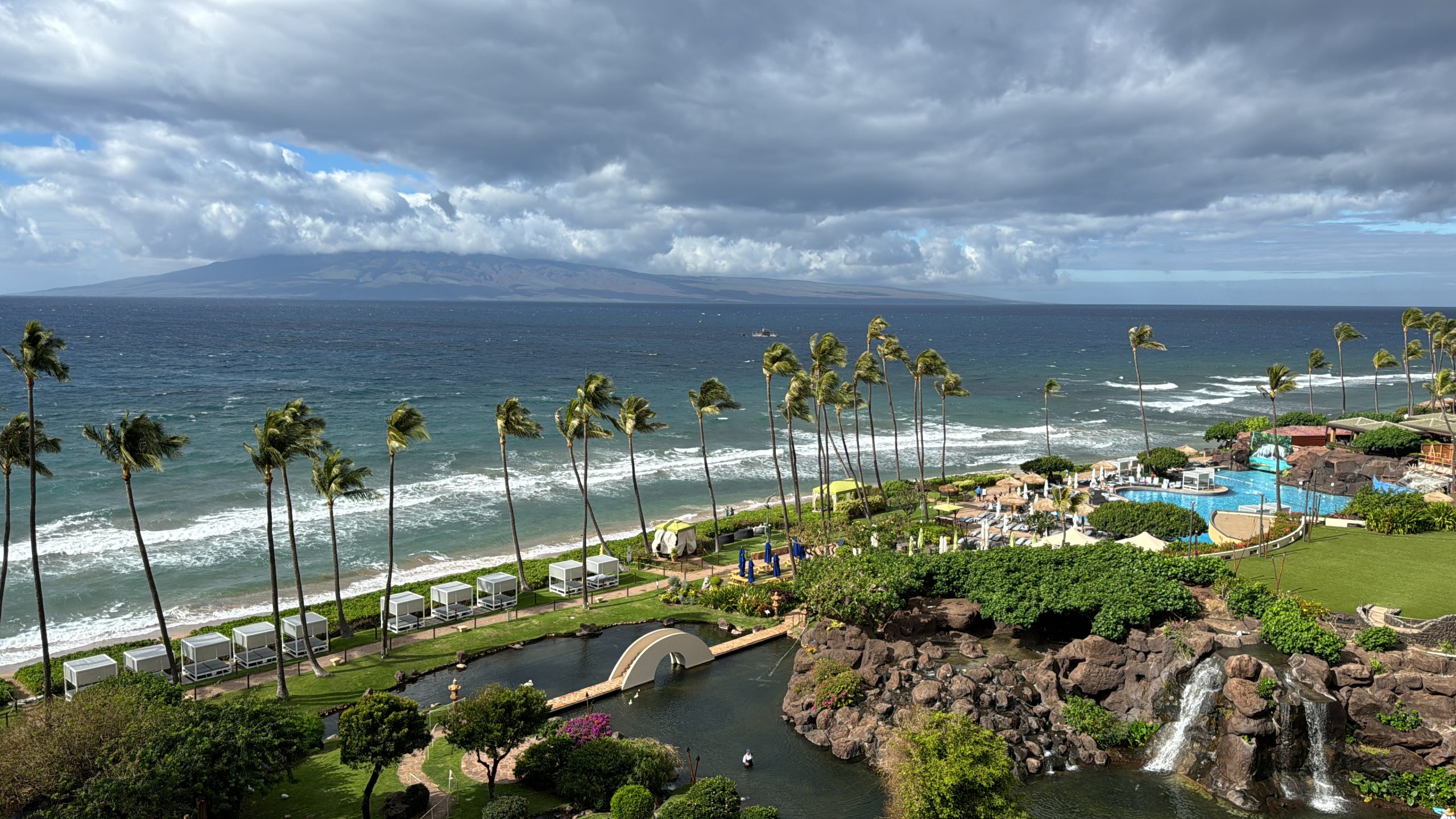 Maui 2024